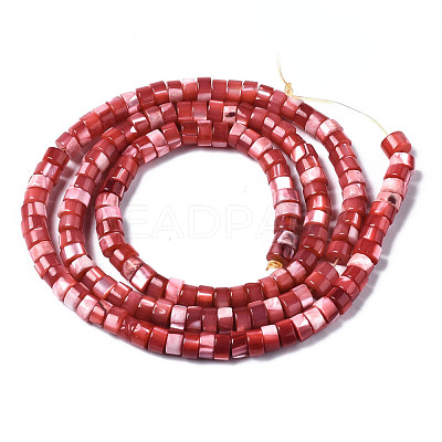 Natural Trochus Shell Beads Strands SHEL-S278-027D-1