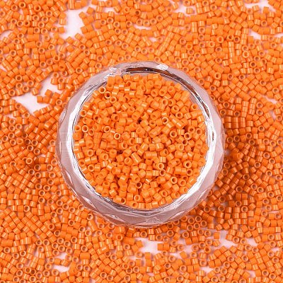 FGB 11/0 Grade A Glass Seed Beads X-SEED-S030-1019-1
