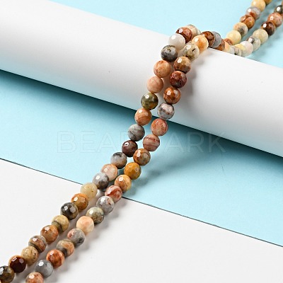 Natural Crazy Lace Agate Beads Strands G-E571-36A-1