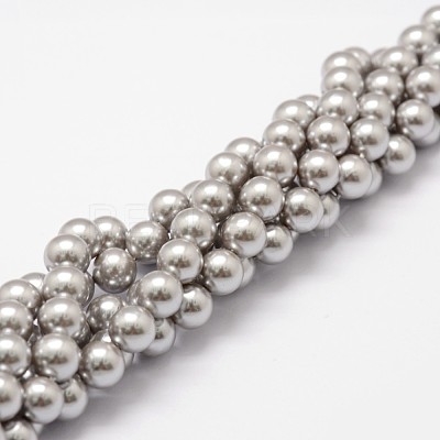 Shell Pearl Beads Strands X-BSHE-L026-05-6mm-1