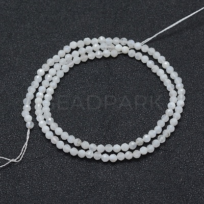 Natural Rainbow Moonstone Beads Strands X-G-E411-08-3mm-1