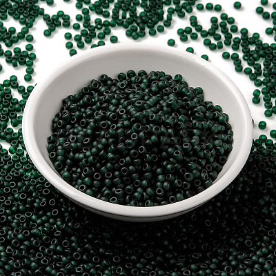 MIYUKI Round Rocailles Beads X-SEED-G008-RR0156F-1