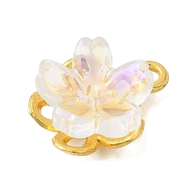 Alloy Glass Charms FIND-C079-05G-03-1