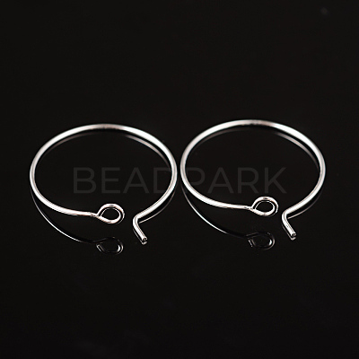 Silver Color Plated Brass Earring Hoops X-EC067-1S-1