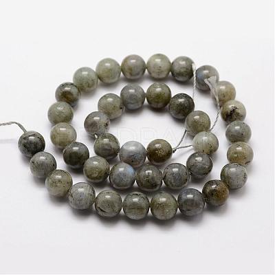 Natural Labradorite Bead Strands G-O155-05B-6mm-1