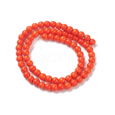 Synthetic Turquoise Beads Strands TURQ-G106-6mm-02G-1