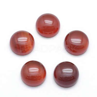 Natural Carnelian Cabochons X-G-P393-R03-10mm-1