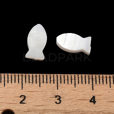Natural Freshwater Shell Beads SHEL-H003-06-1