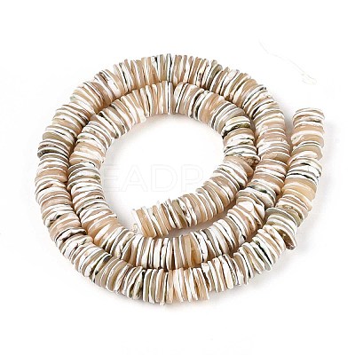 Luminous Natural Seashell Shell Beads Strands SSHEL-T017-34-1