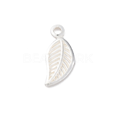 925 Sterling Silver Charms STER-D301-04S-04-1