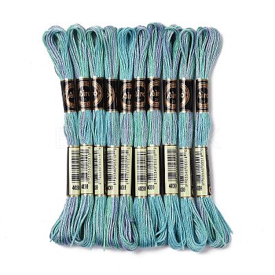 10 Skeins 6-Ply Polyester Embroidery Floss OCOR-K006-A30-1
