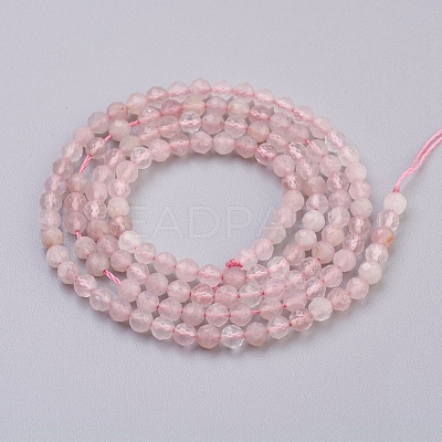 Natural Rose Quartz Beads Strands G-F568-069-3mm-1