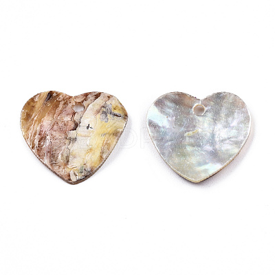 Natural Akoya Shell Pendants SHEL-N026-200-1