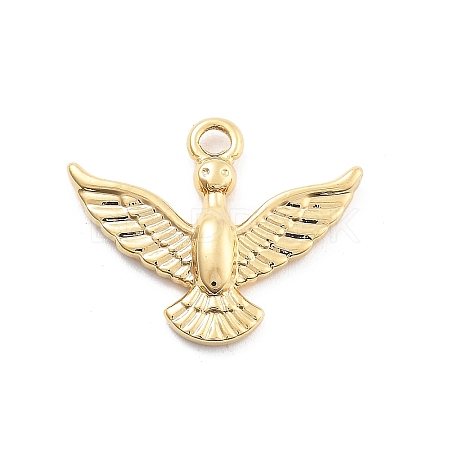 304 Stainless Steel Pendants STAS-R155-043G-01-1