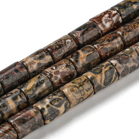 Natural Leopard Skin Jasper Beads Strands G-Q1008-A06-1