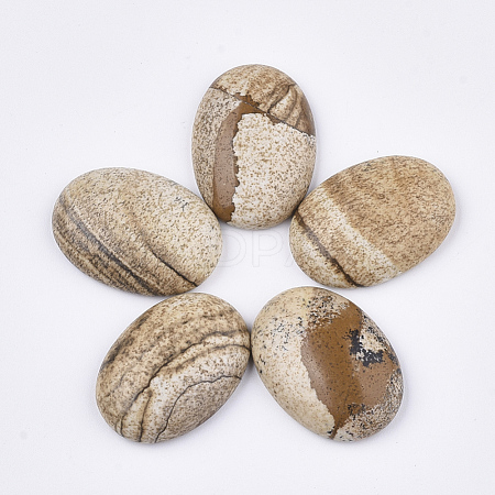 Natural Picture Jasper Cabochons X-G-S349-25A-01-1