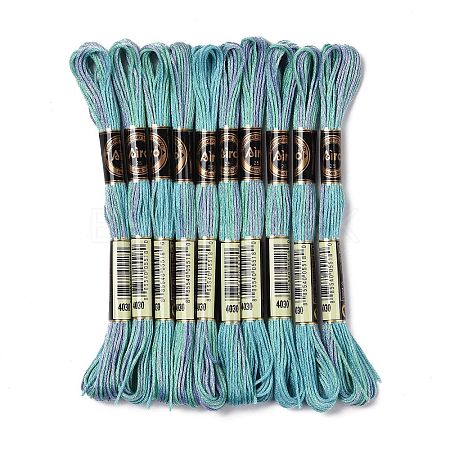 10 Skeins 6-Ply Polyester Embroidery Floss OCOR-K006-A30-1
