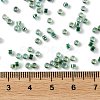 Glass Seed Beads X-SEED-S042-13A-18-4