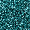 Baking Paint Glass Seed Beads X-SEED-S042-15A-17-3