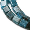 Natural Apatite Beads Strands G-F762-A19-01-4