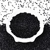 FGB 11/0 Grade A Glass Seed Beads SEED-S030-1014-2