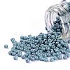 TOHO Round Seed Beads SEED-TR11-1206-1