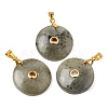 Natural Labradorite Pendants GG-CBA260E-03G-14-1