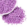 Glass Seed Beads SEED-A011-3mm-150-1