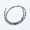 Natural African Turquoise(Jasper) Beads Strands G-E444-47-4mm-2
