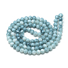 Baking Paint Glass Beads Strands DGLA-S115-8mm-S73-2