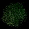 Luminous Glass Seed Beads SEED-A033-07N-5
