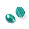 Natural Malachite Cabochons G-E557-03D-1