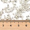 Electroplate Glass Seed Beads X-SEED-S042-01B-08-4