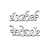 Non-Tarnish 304 Stainless Steel Connector Charms STAS-N095-121-2