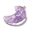 Transparent Resin Moon Pendants RESI-A026-01B-2