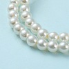 Baking Painted Pearlized Glass Pearl Round Bead Strands X-HY-Q003-6mm-02-4
