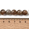 Natural Multi-Moonstone Beads Strands G-J157-10mm-01-5
