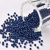 11/0 FGB Grade A Baking Paint Glass Seed Beads X-SEED-N001-A-1012-1