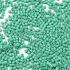 Baking Paint Glass Seed Beads X-SEED-S042-05B-60-3