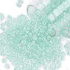 8/0 Glass Seed Beads SEED-A015-3mm-2213-1