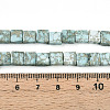 Natural Variscite Beads Strands G-N346-05A-05-5