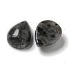 Natural Larvikite Cabochons G-Q173-02C-05-2