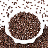 FGB Baking Paint Glass Seed Beads SEED-Q040-09A-08-2