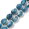 Natural Apatite Beads Strands G-P541-A01-06-1