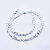 Natural Howlite Beads Strands G-P353-01-6mm-2