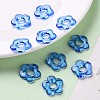 Transparent Acrylic Bead Frames TACR-S154-29B-86-6