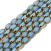 Electroplate Glass Beads Strands EGLA-P061-02B-02-1