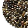 Natural Petrified Wood Beads Strands G-P573-A32-01-3