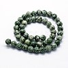 Natural Green Spot Jasper Beads Strands G-I199-30-6mm-2