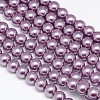 Eco-Friendly Dyed Glass Pearl Round Bead Strands X-HY-A002-8mm-RB116-1